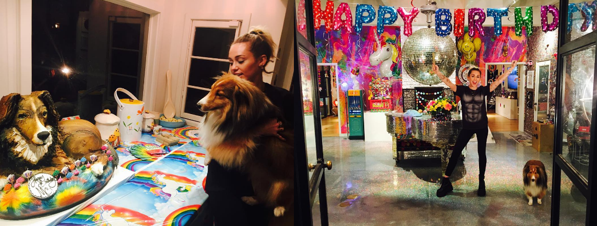 Miley Cyrus cumpli&oacute; a&ntilde;os y su novio le hizo un incre&iacute;ble regalo