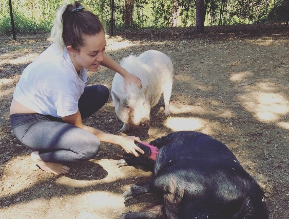 Un d&iacute;a en la vida de Miley Cyrus