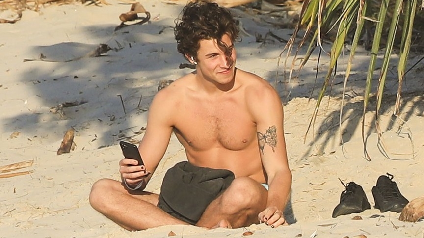 &iexcl;Tiempo fuera para Shawn Mendes!