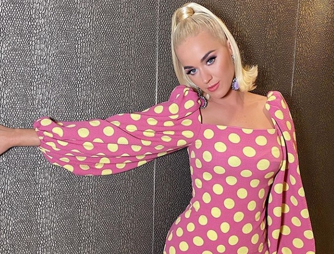 El ins&oacute;lito entretenimiento de Katy Perry y sus amigos