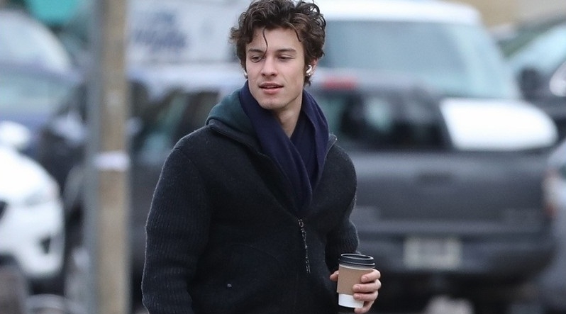 Mir&aacute; lo que hace Shawn Mendes en un domingo libre