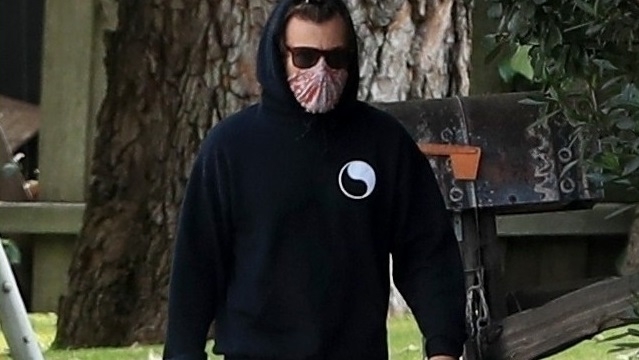 El fin de semana de Harry Styles en fotos