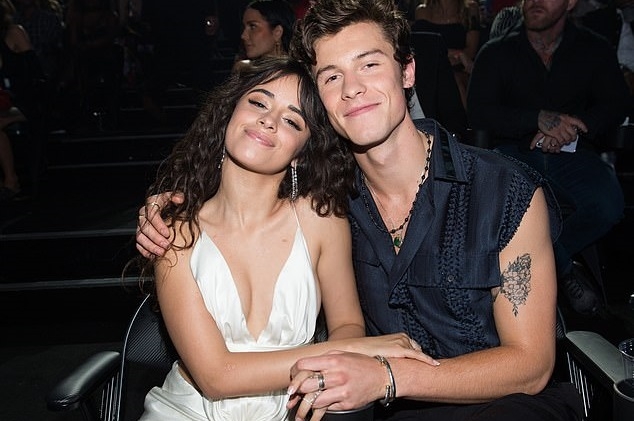 Todo esto hicieron en cuarentena Camila Cabello y Shawn Mendes